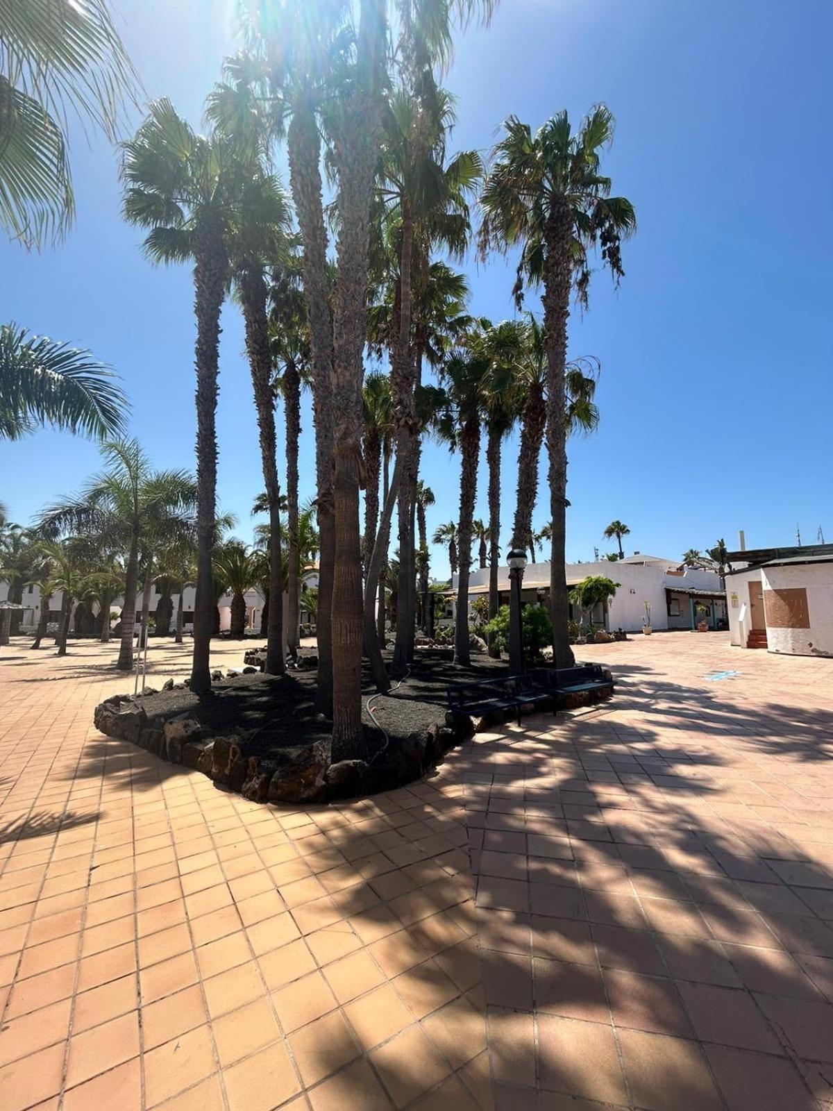 Apartamentos Gala Corralejo Bagian luar foto