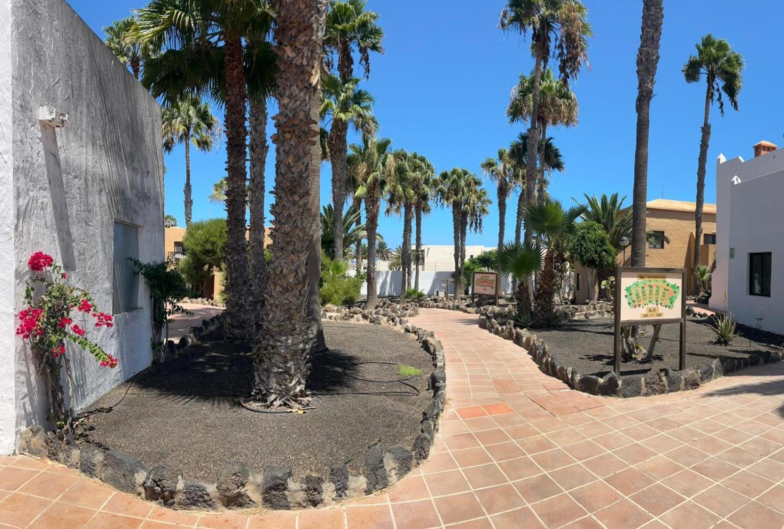 Apartamentos Gala Corralejo Bagian luar foto